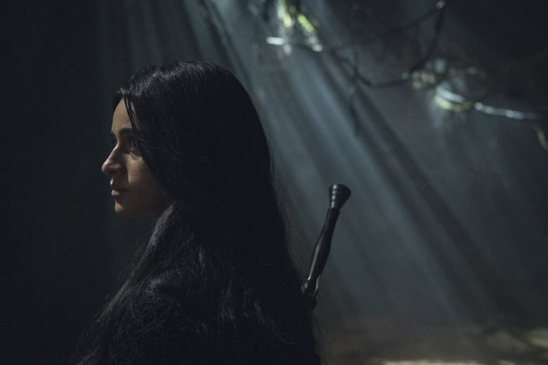The Witcher on Netflix