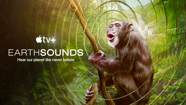 Narrated by Golden Globe winner and Emmy Award nominee Tom Hiddleston, “Earthsounds” is a 12-part documentary filmed over three and a half years. “Earthsounds” will premiere all episodes globally on February 23, 2024.
