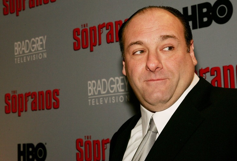 The Sopranos actor James Gandolfini