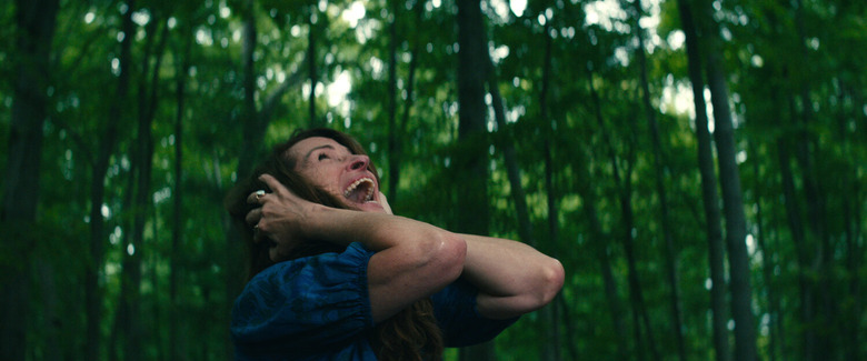 Leave the World Behind on Netflix