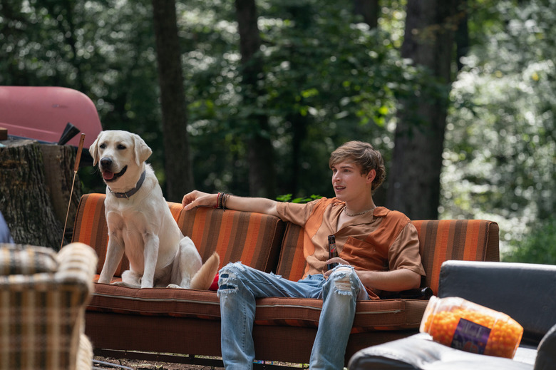 Dog Gone on Netflix