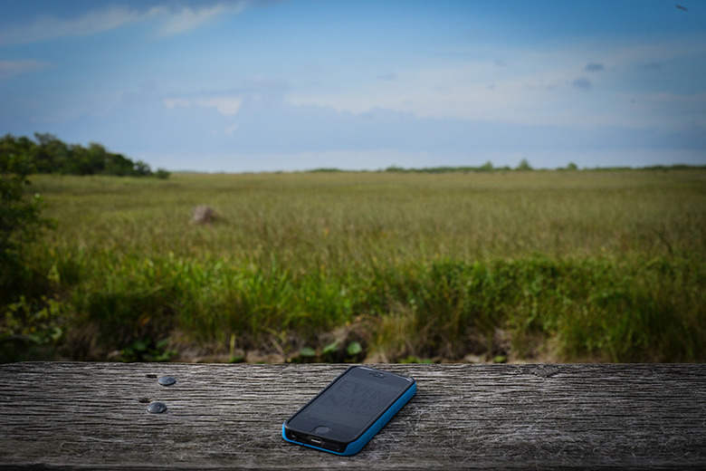 iPhone in Everglades National Park