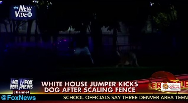 dog fence jump