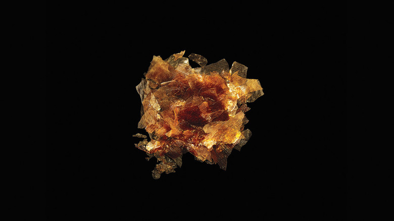 food-additives-shellac