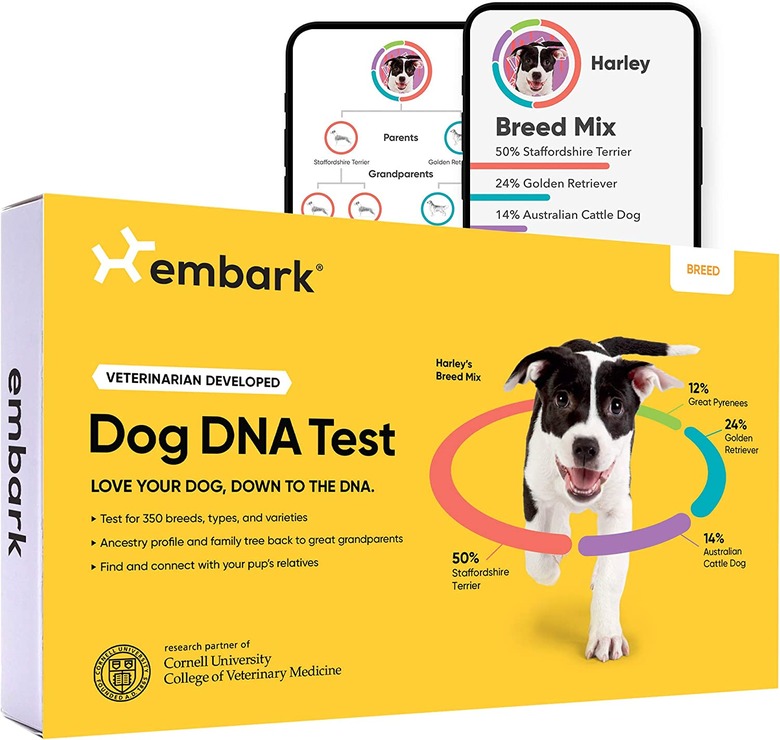 Embark Breed Identification Dog DNA Test