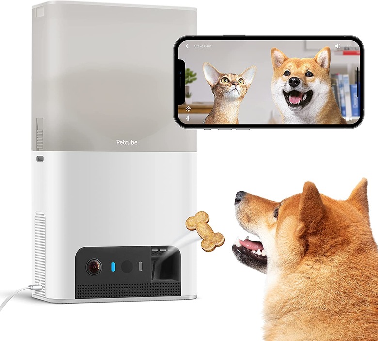 Petcube Bites 2 Lite Interactive Pet Camera