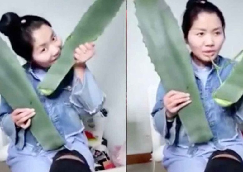 20172706_aloe vera_asiawire