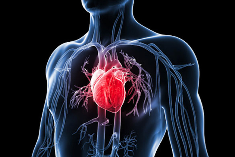heart-disease