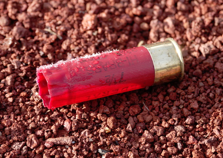 shotshell