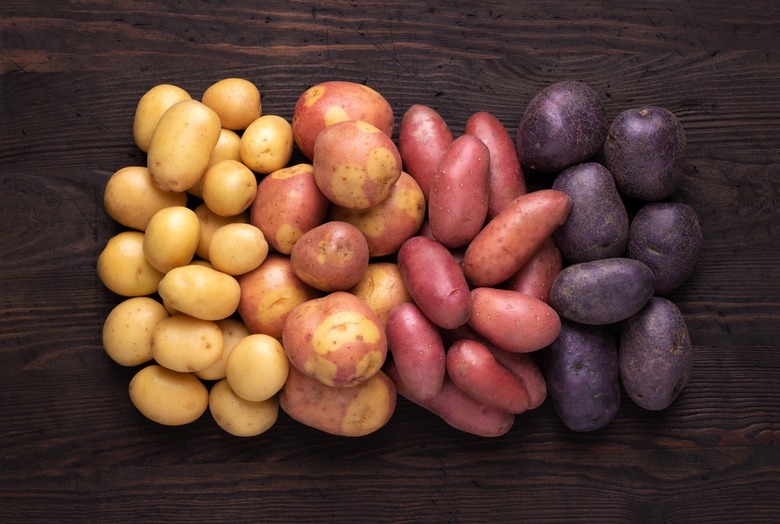 Heap of different types of potatoes on dark wooden rustic table.