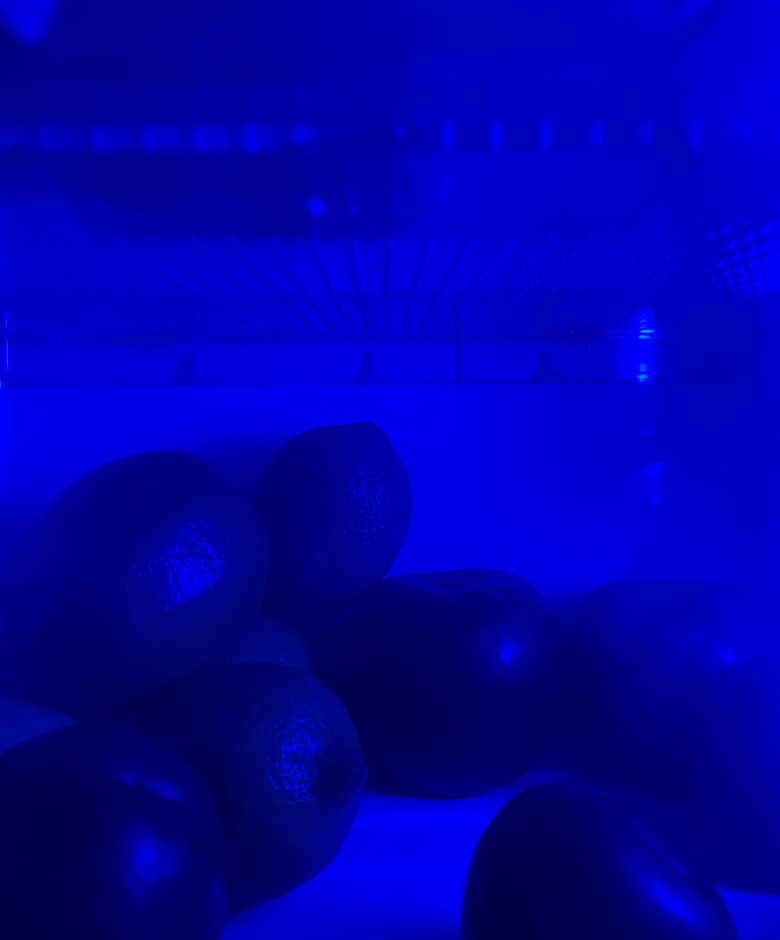 beko-blue-2