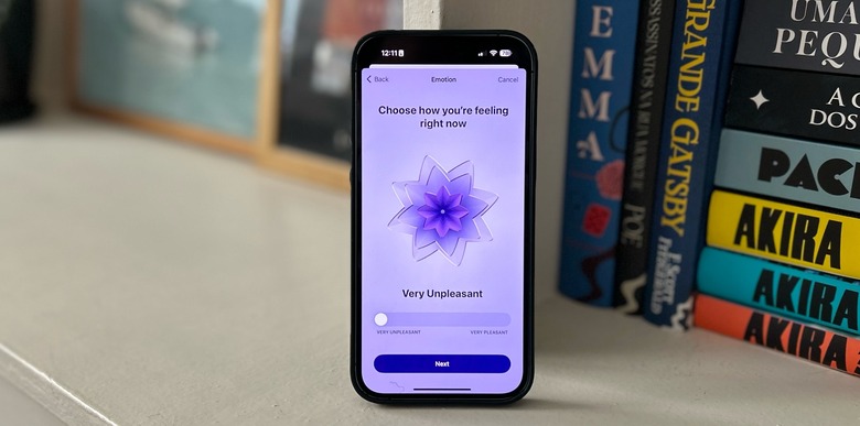 ios-17-review-state-of-mind-bgr