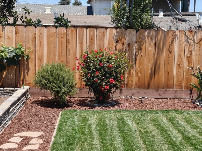 yard-3x-Large