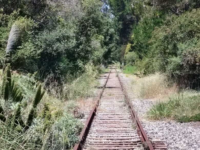 IMG20230608162347
