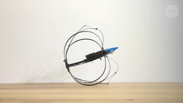 record-breaking jumping robot