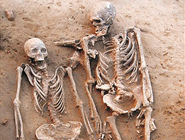 skeltonz