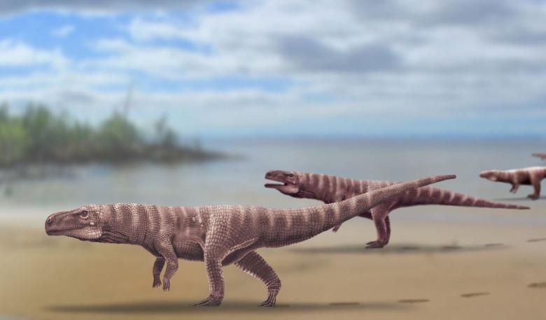 bipedal crocodiles
