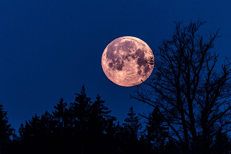 April pink moon in night sky