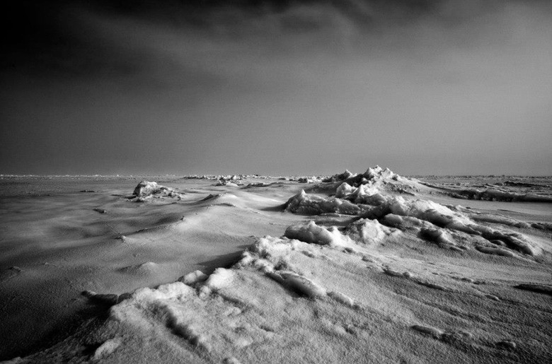 arctic