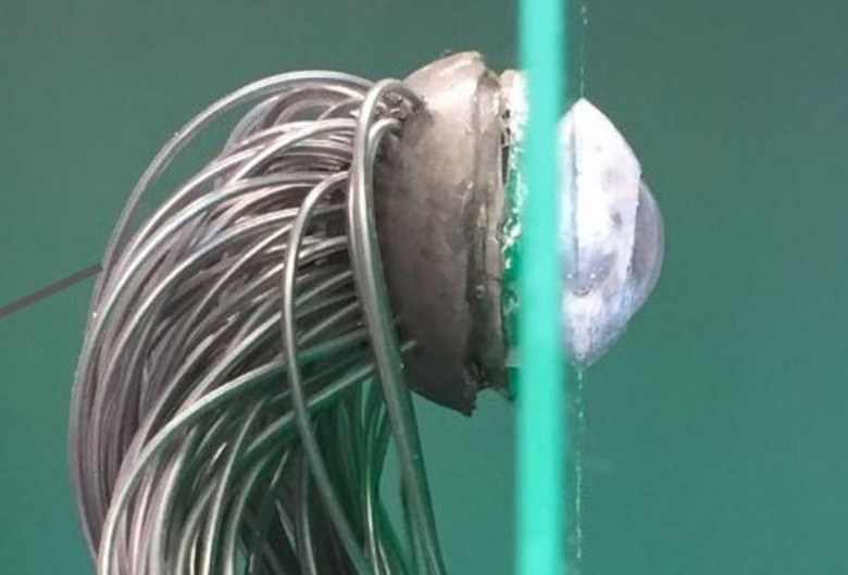 bionic eye