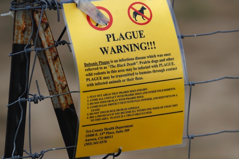 rocky mountain arsenal wildlife refuge, closed bubonic plague