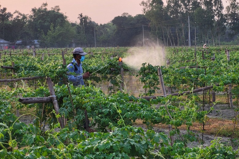 farmer-spraying-pesticides-on-crops