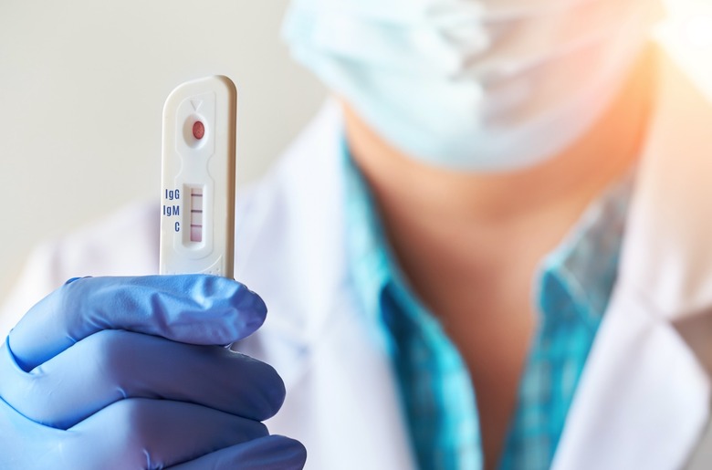 Coronavirus Immunity