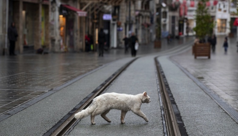 Coronavirus and COVID-19 disease affects life in Turkey, Istanbul - 24 Mar 2020
