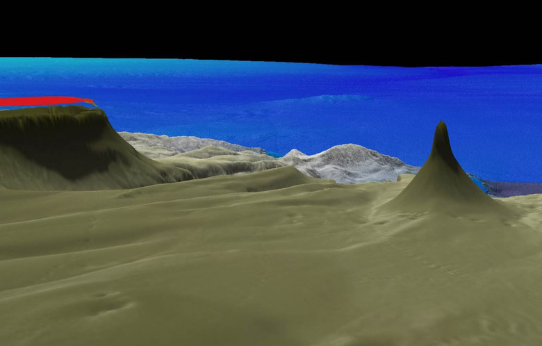 new reef