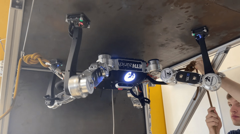 magnecko-wall-walking-robot