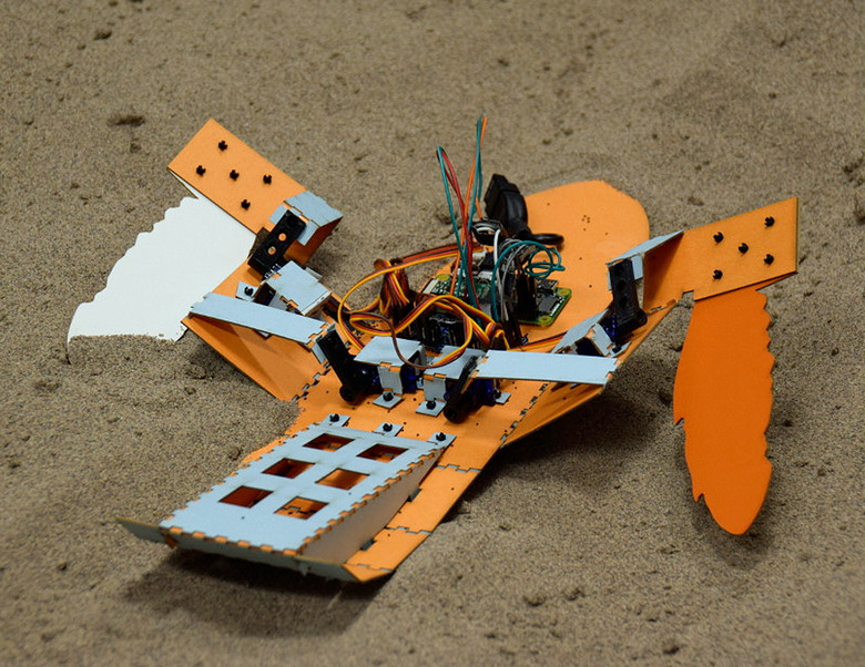 turtle-bot