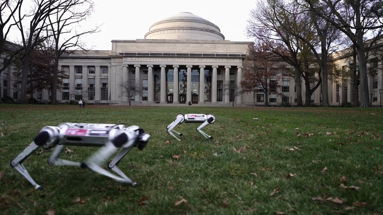 MIT Mini cheetah robot