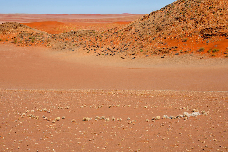 fairy circles in namib desert
