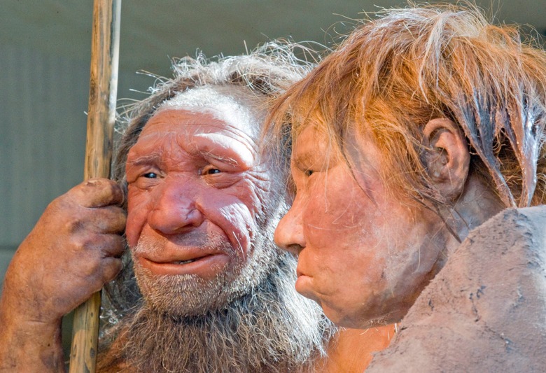 Germany Neanderthal Dating, Mettmann, Germany
