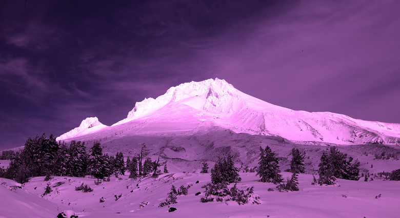 Pink Snow