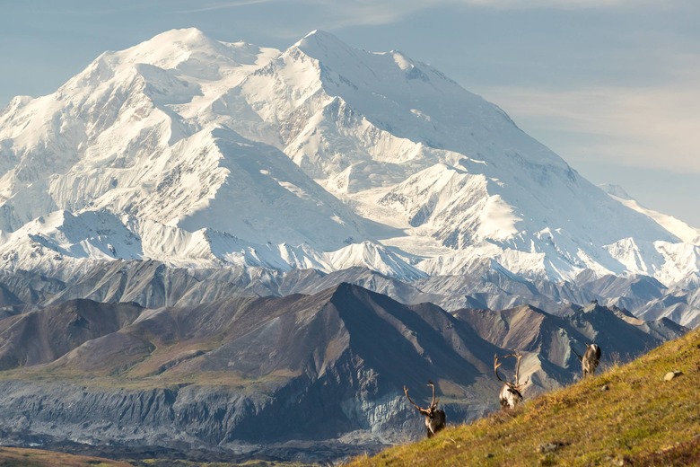 north america's highest mountain, mount denali