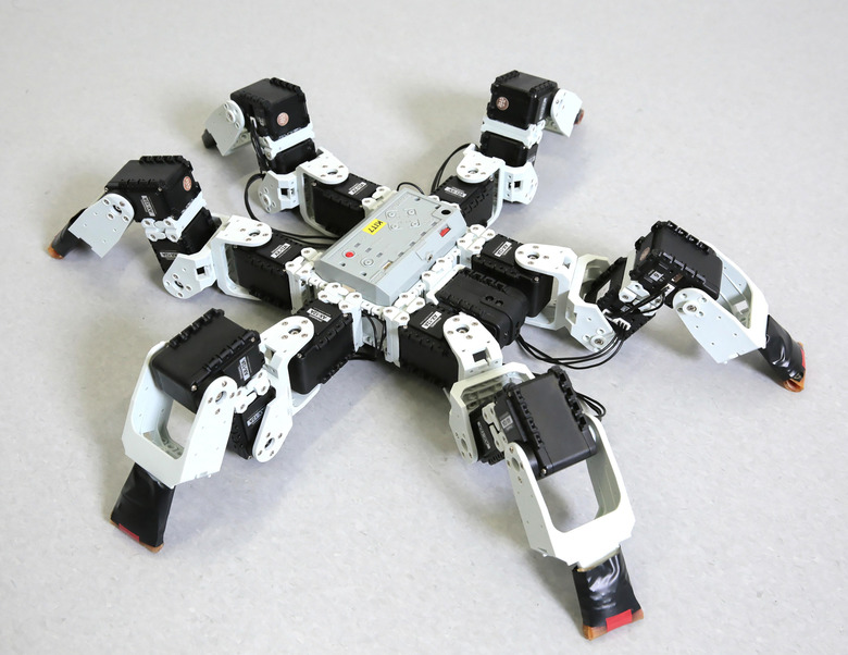 spider