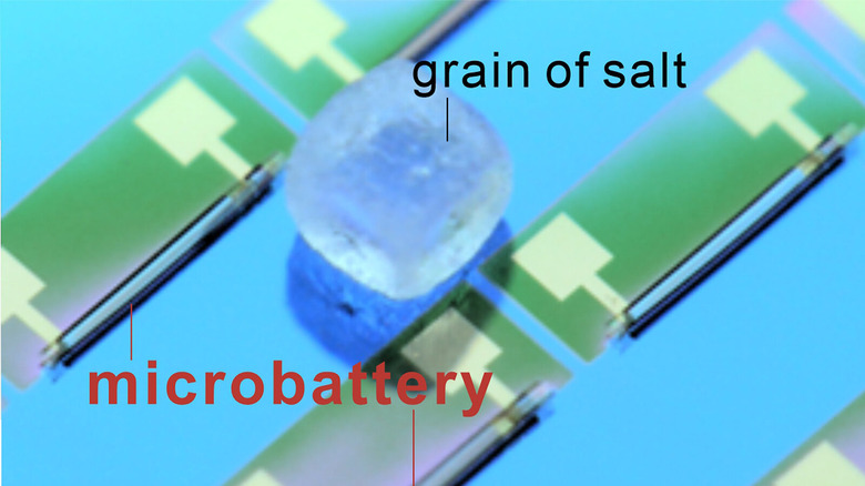 worlds smallest battery
