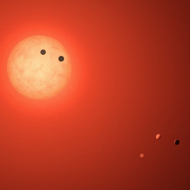 trappist