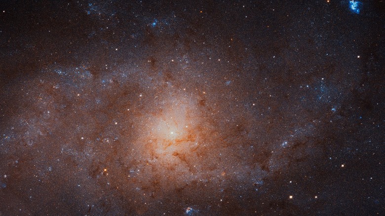 triangulum galaxy