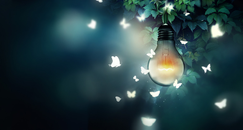 luminous bulb and butterflies flying on light
