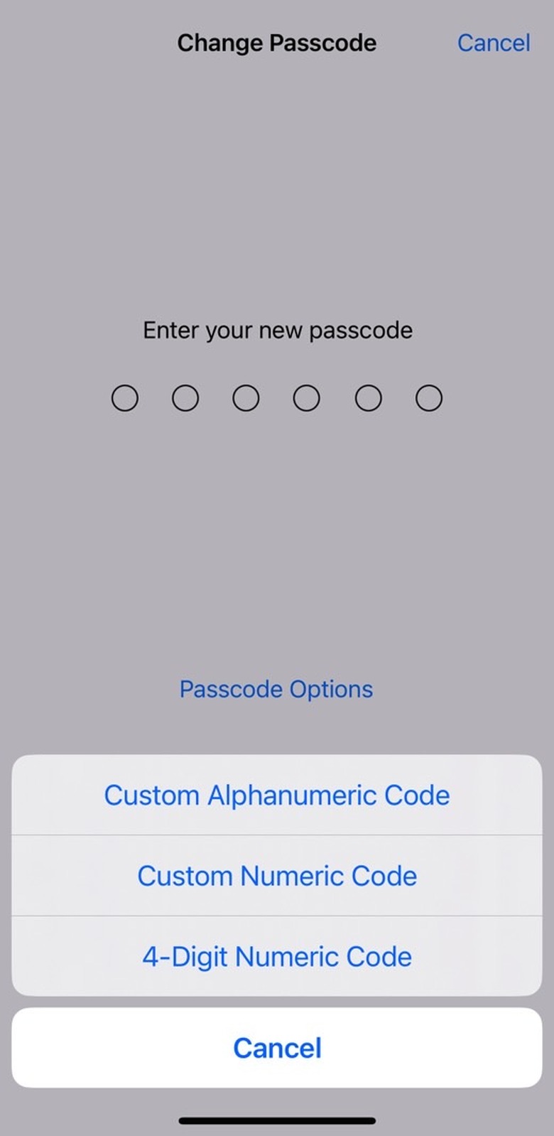 How to change the iPhone password in iOS 16.