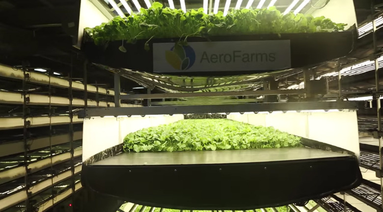 aerofarms-vertical-farming
