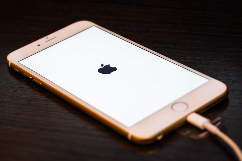 iPhone Lightning Charger
