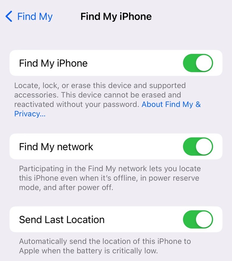 Find My iPhone settings you must enable.