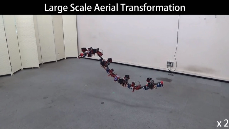Dragon Drone