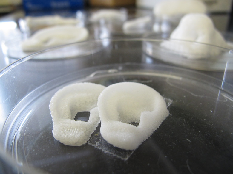 Growing Organs