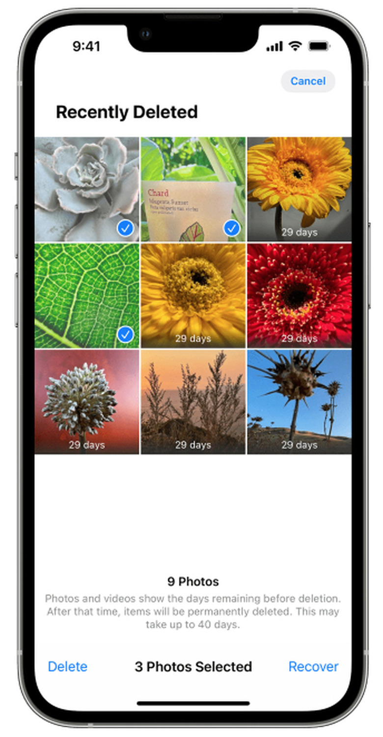 Deleted photos folder on iPhone.