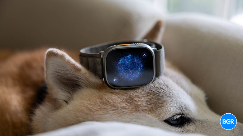 Apple Watch Ultra 2