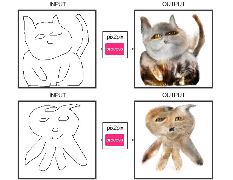 cats